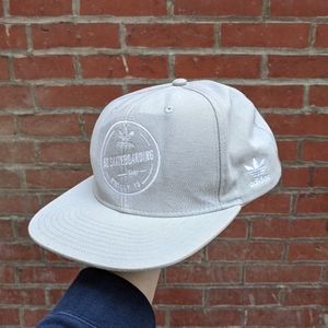 Go Skateboarding Day 2013 Snapback